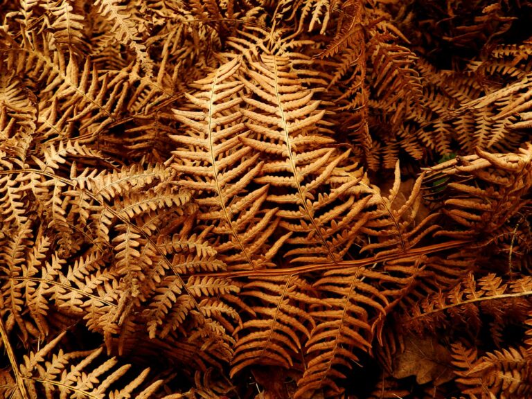 Petrecerea Copiilor Acasă: Idei și Activități Creative.